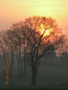 RTF Celle Dirk (24)